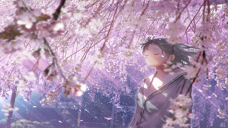 Ảnh nền Anime phong cảnh hoa anh đào tuyệt đẹp Full HD cho điện thoại
