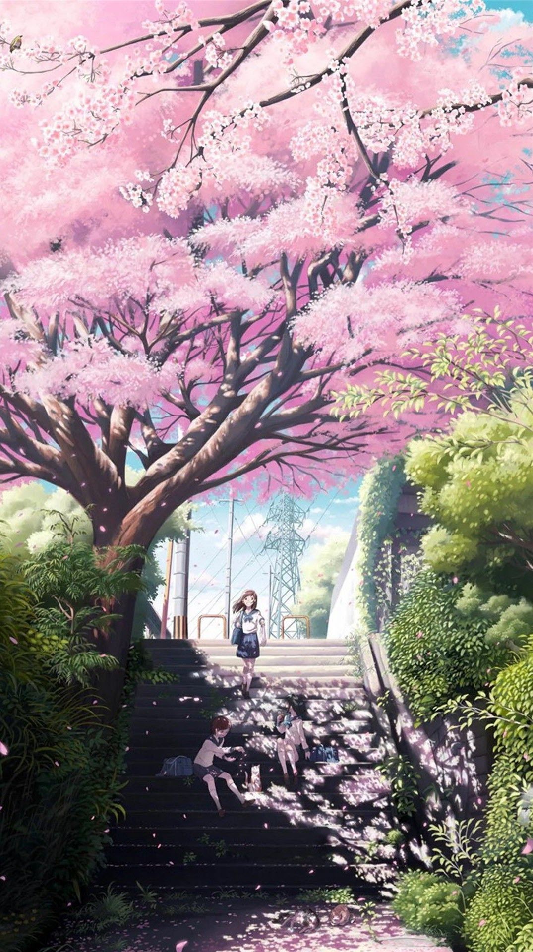 Ảnh nền Anime phong cảnh hoa anh đào tuyệt đẹp Full HD cho điện thoại
