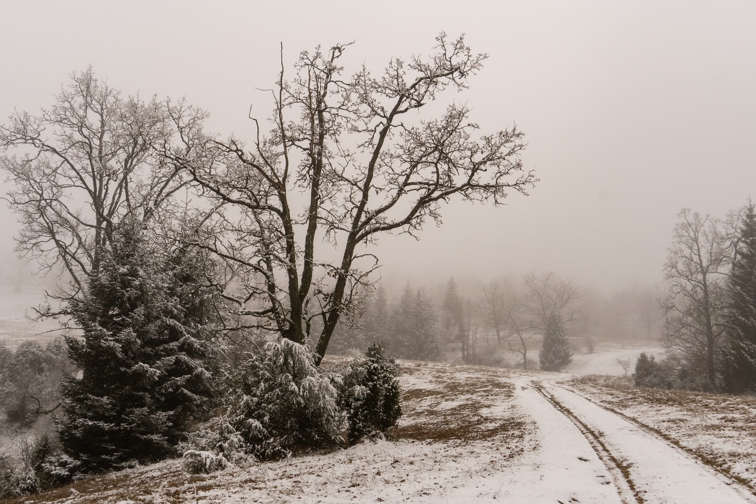 Hình ảnh thiên nhiên mùa đông đượm buồn