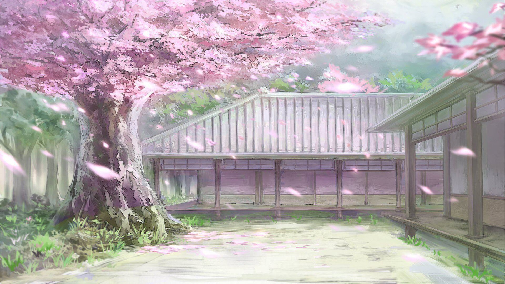 Hình nền Anime phong cảnh hoa anh đào cho máy tính