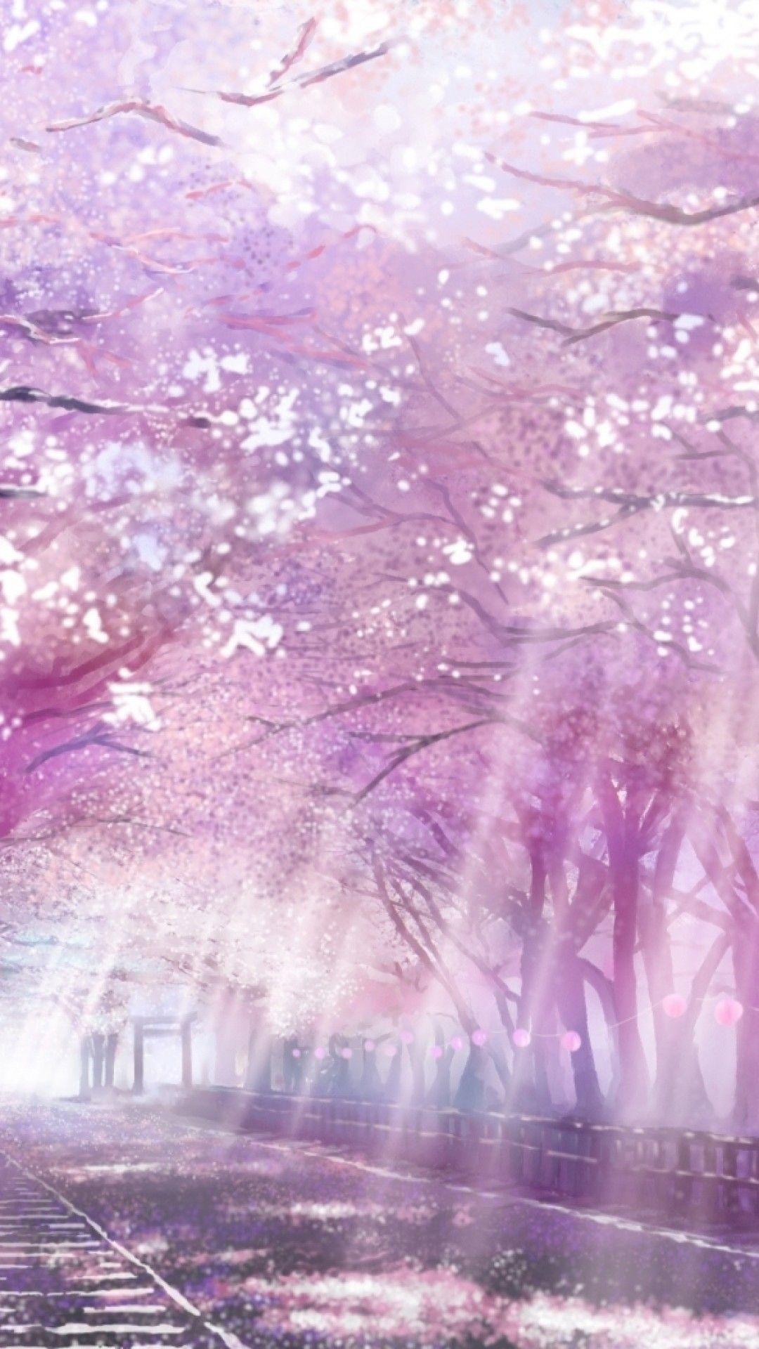 Hình nền Anime phong cảnh hoa anh đào Full HD cho điện thoại