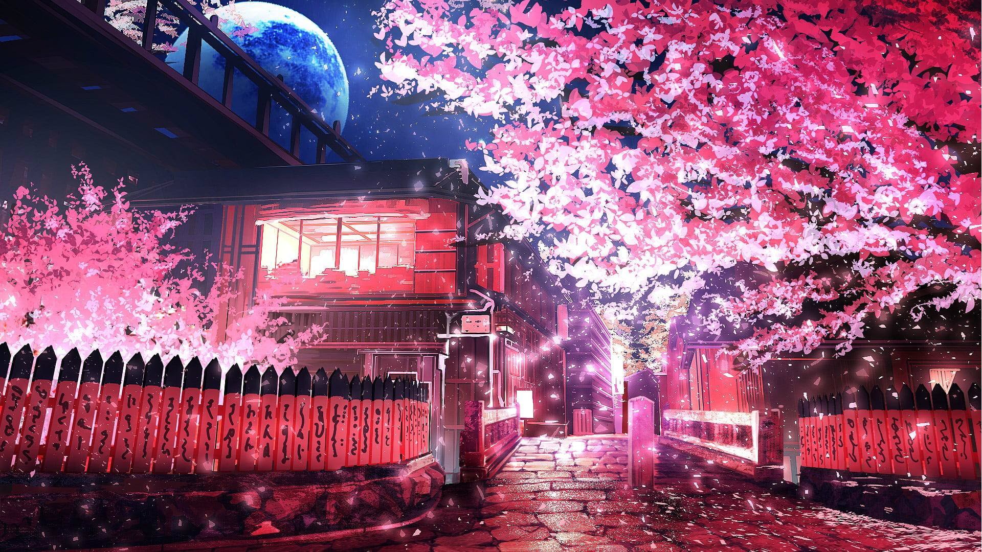 Hình nền Anime phong cảnh hoa anh đào Full HD cực đẹp