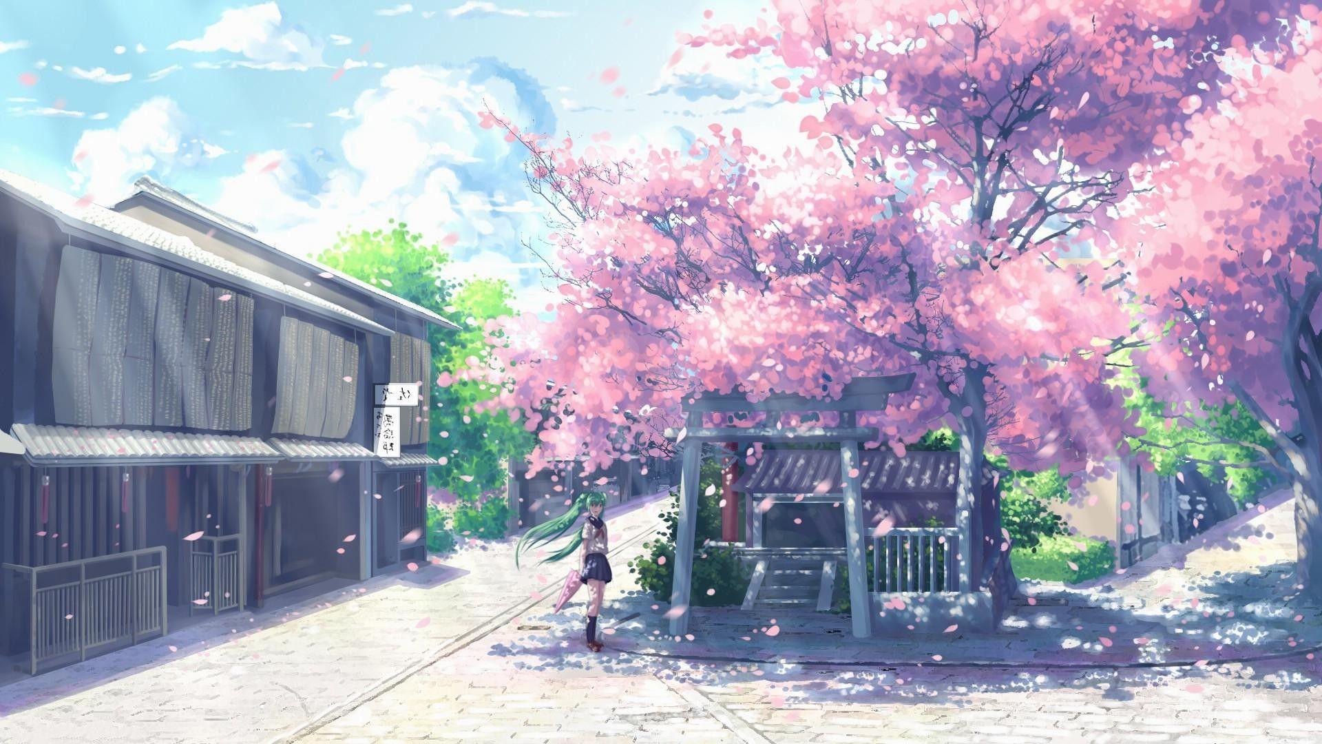 Hình nền Anime phong cảnh hoa anh đào tuyệt đẹp 2K