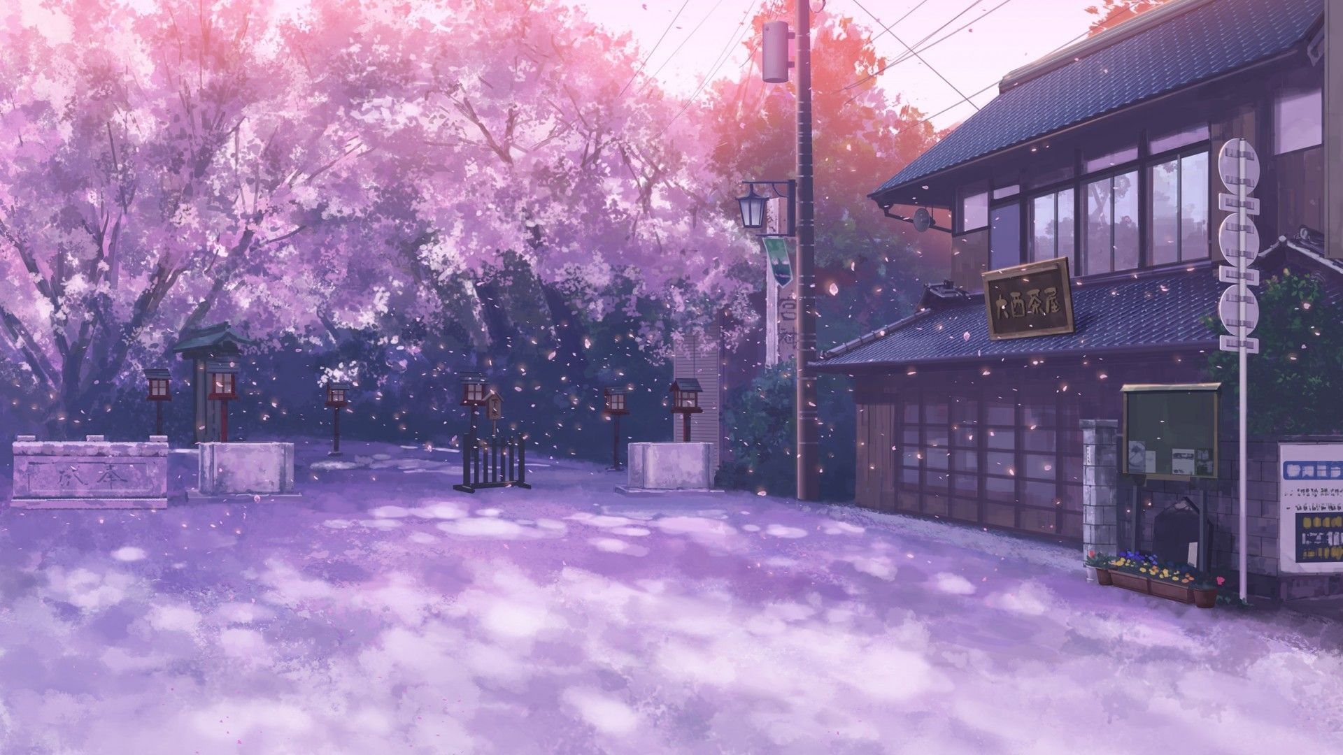 Hình nền Anime cảnh quan hoa anh khoan Nhật Bản Full HD