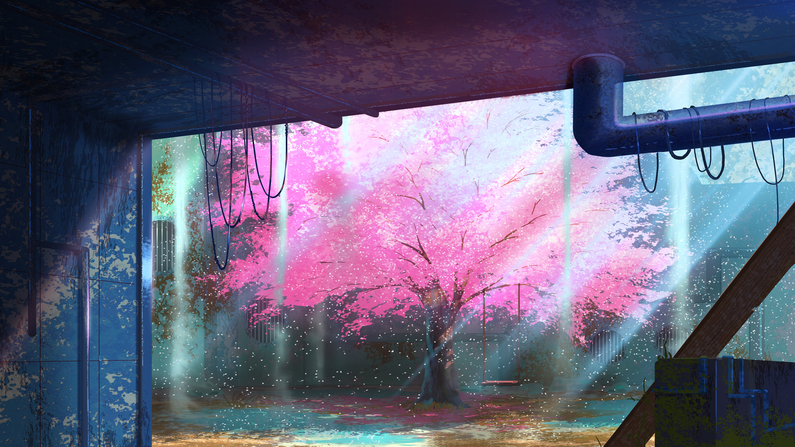 Hình nền phong cảnh Anime hoa anh đào